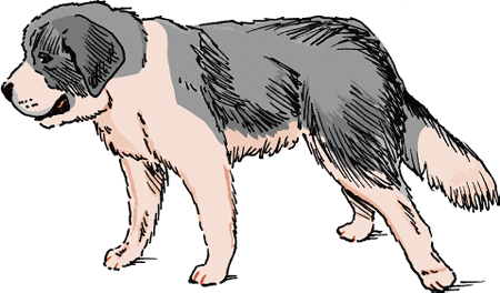 Leg Paralysis in Dogs - Dog Owners - Merck Veterinary Manual