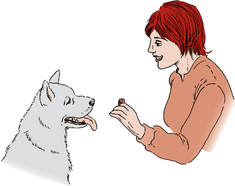 Providing a treat to a dog