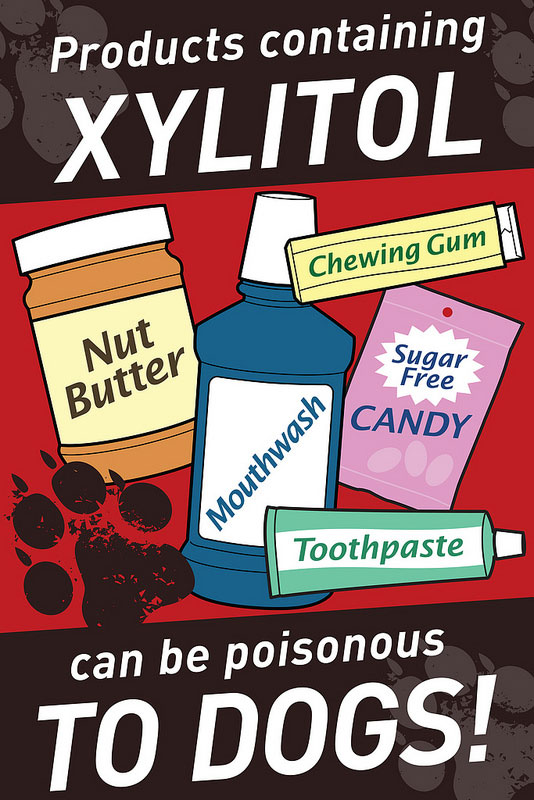Products Containing Xylitol