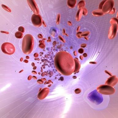 Circulatory