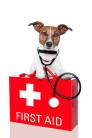 Types of Veterinary Medical Tests